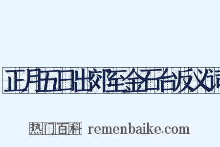 正月五日出郊至金石台反义词是什么意思的图片